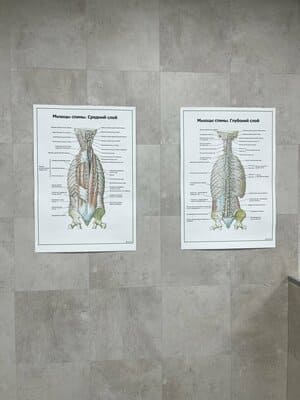 Программа лояльности для наших постоянных пациентов